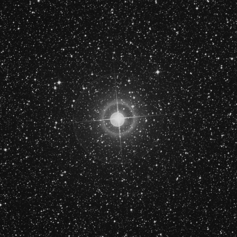 Image of γ Trianguli Australis (gamma Trianguli Australis) star