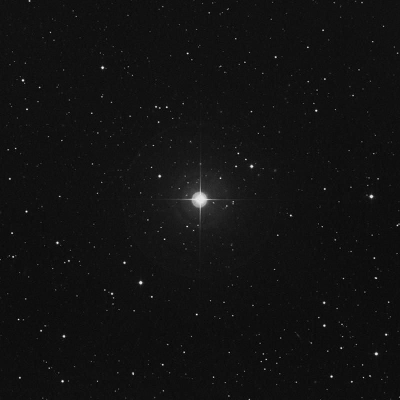 Image of 16 Serpentis star