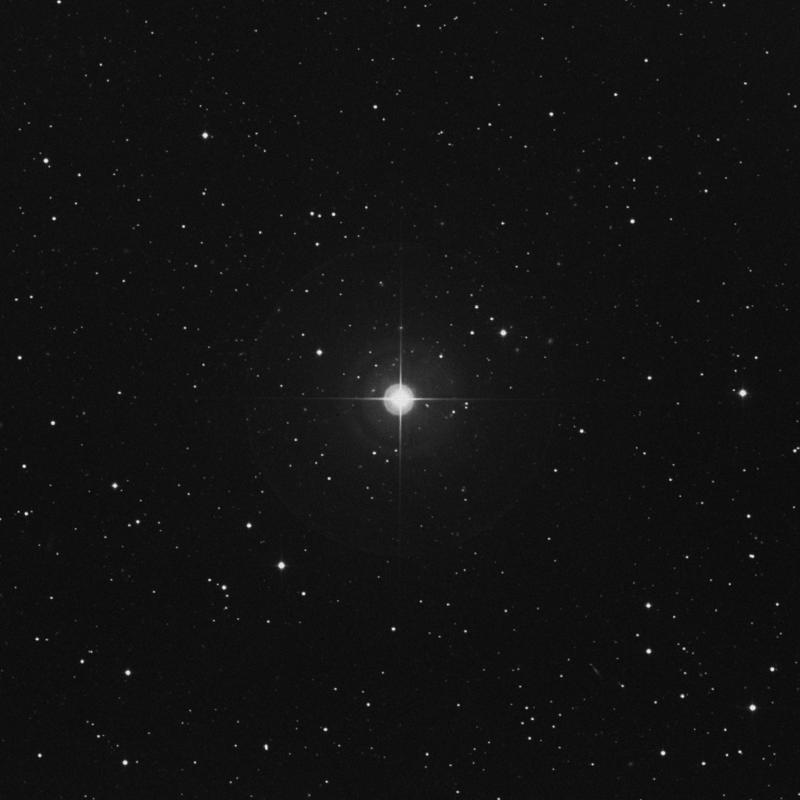 Image of 16 Serpentis star