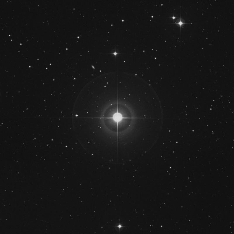 Image of χ Herculis (chi Herculis) star