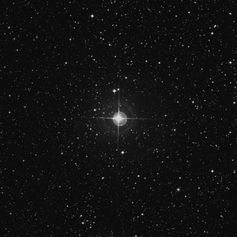 Image of Iklil - ρ Scorpii (rho Scorpii) star