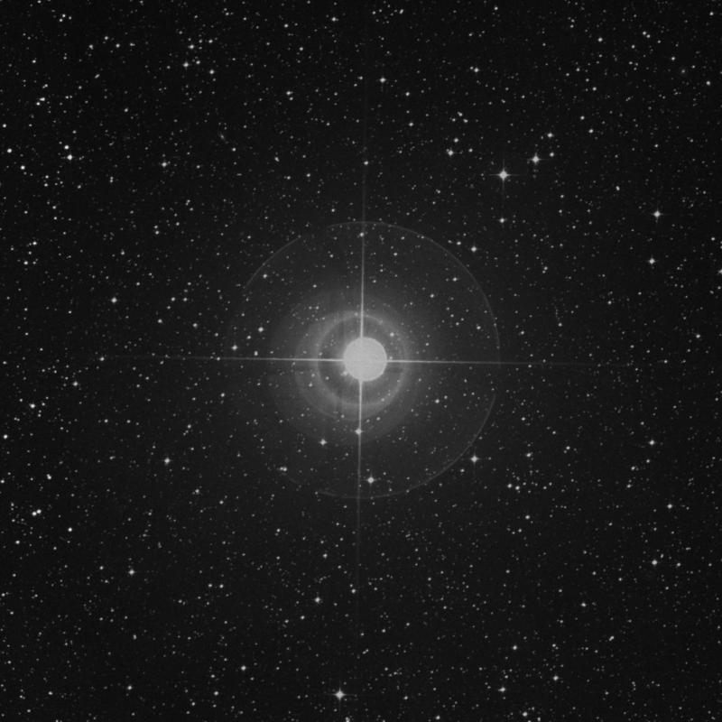 Image of Fang - π Scorpii (pi Scorpii) star