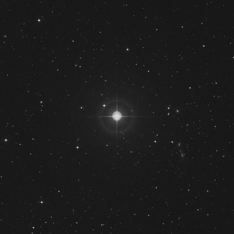 Image of ρ Coronae Borealis (rho Coronae Borealis) star