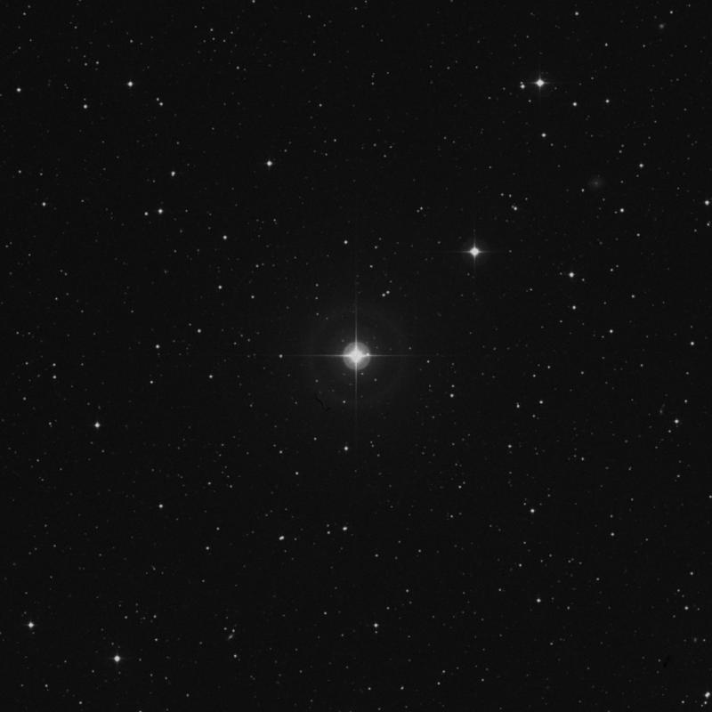 Image of 43 Serpentis star