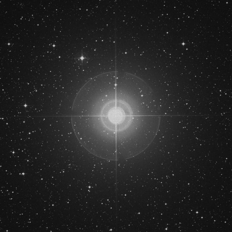 Image of Acrab - β1 Scorpii (beta1 Scorpii) star