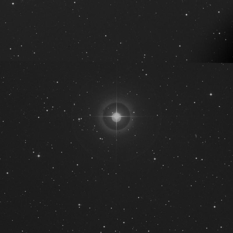 Image of κ Arietis (kappa Arietis) star