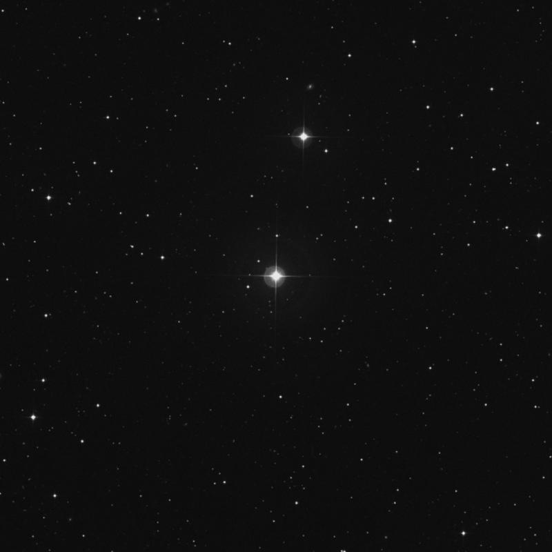 Image of 11 Arietis star