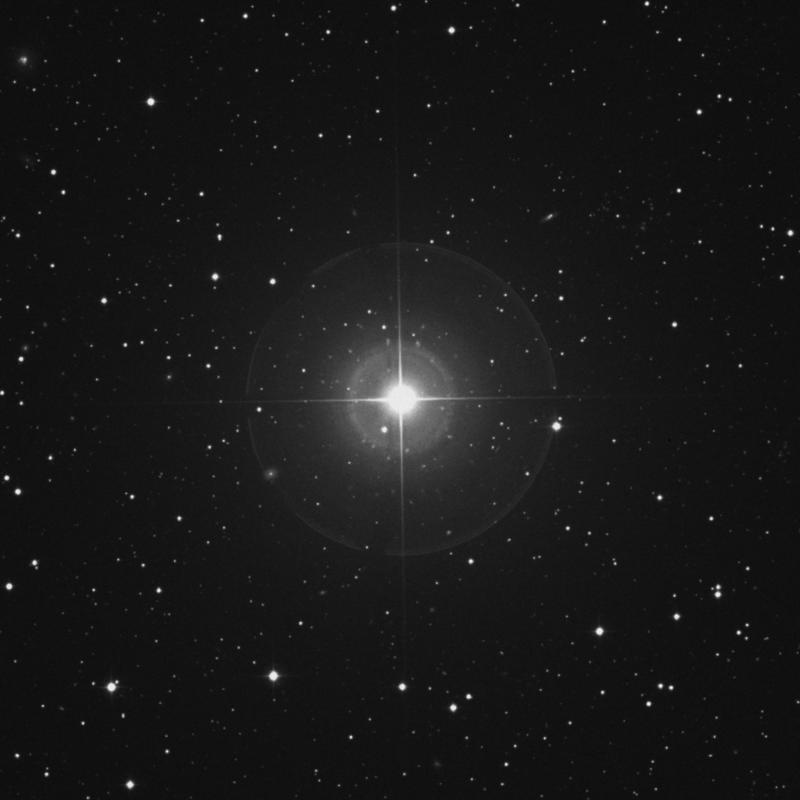 Image of β Trianguli (beta Trianguli) star