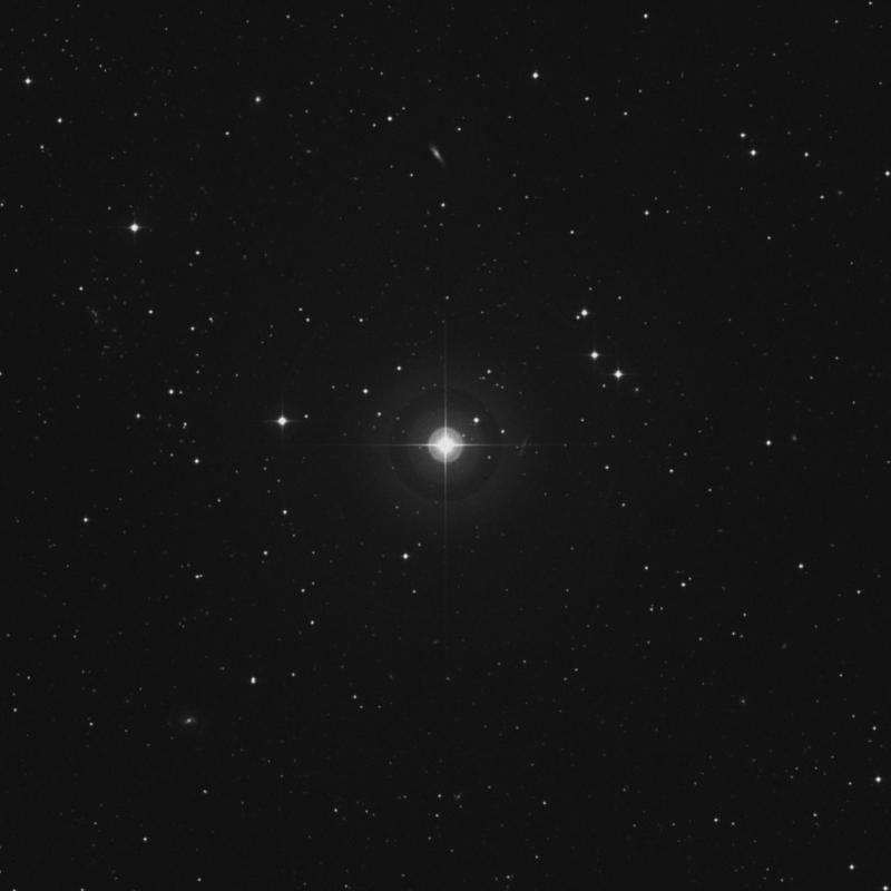 Image of 21 Arietis star