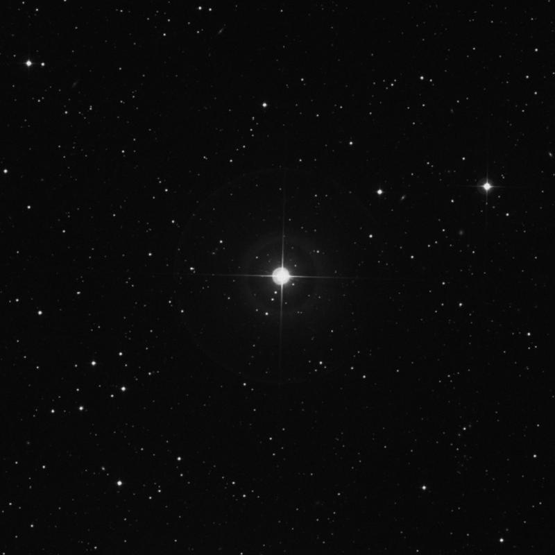 Image of δ Trianguli (delta Trianguli) star