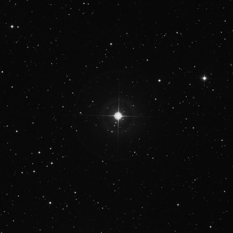 Image of δ Trianguli (delta Trianguli) star