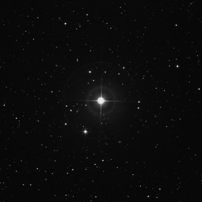 Image of γ Trianguli (gamma Trianguli) star