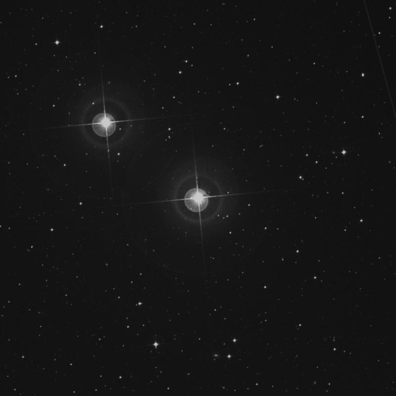Image of π1 Hydri (pi1 Hydri) star