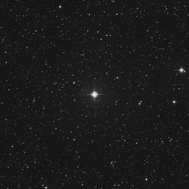Image of 9 Persei star