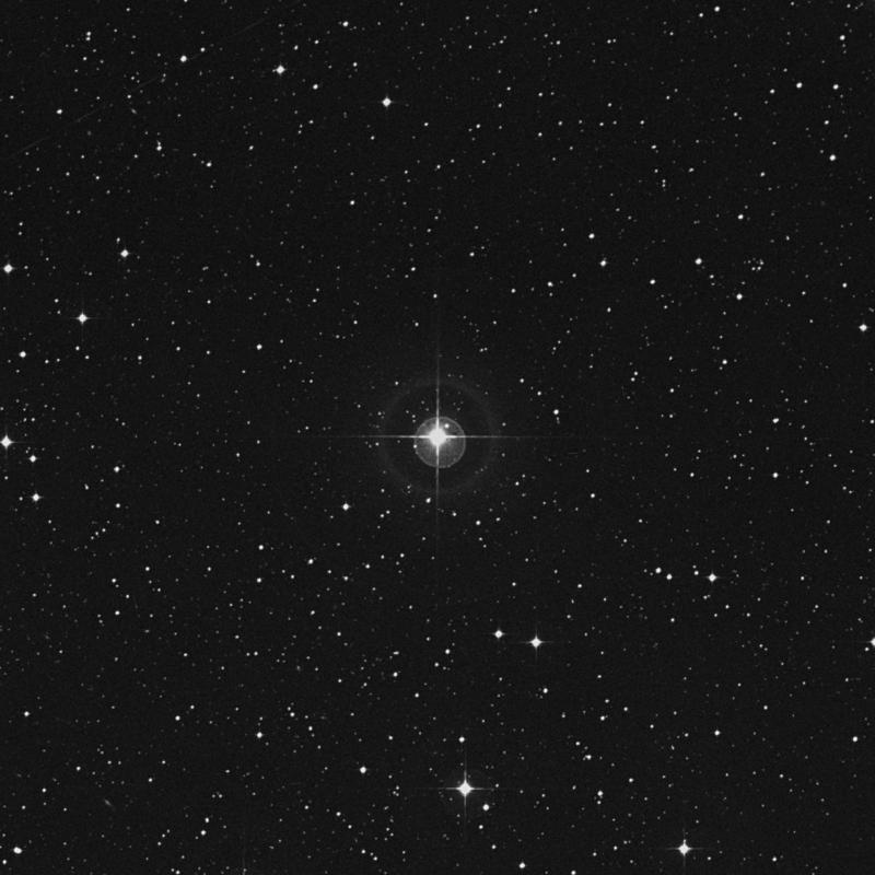 Image of 11 Scorpii star