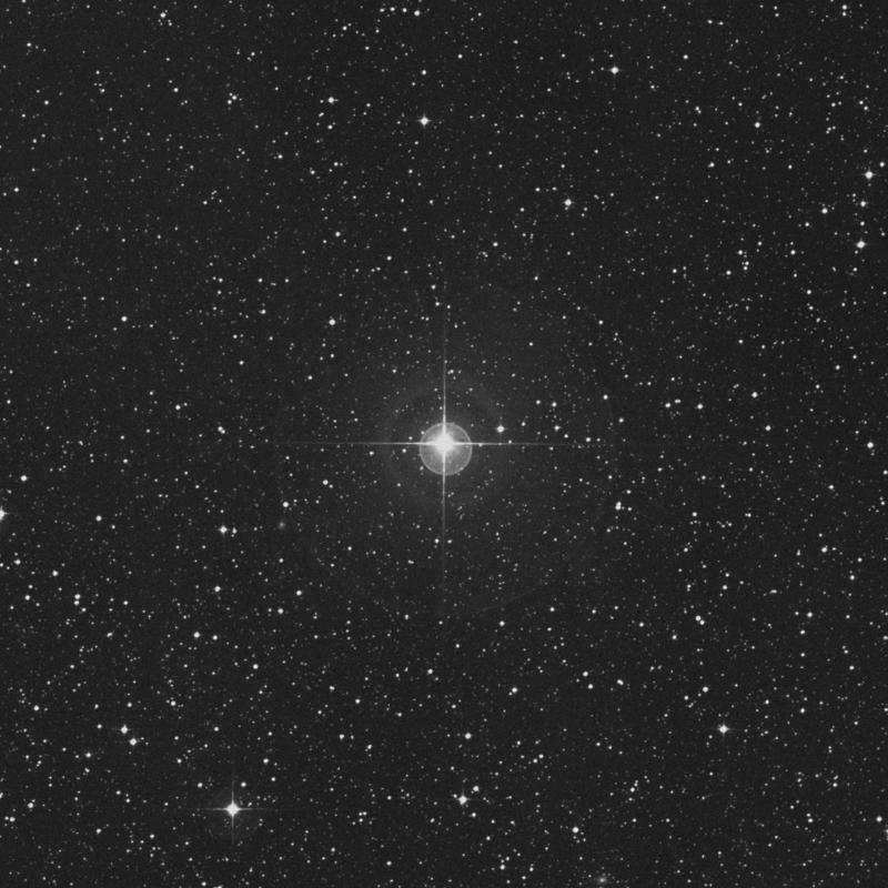 Image of 13 Scorpii star