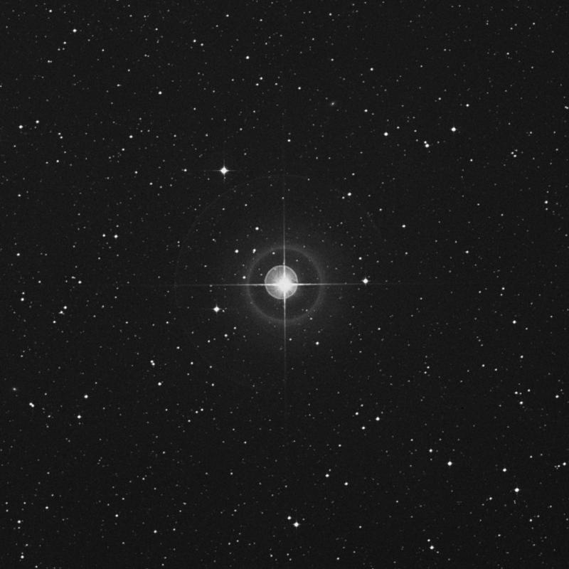 Image of χ Scorpii (chi Scorpii) star
