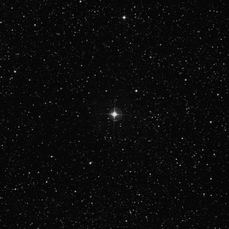 Image of γ1 Normae (gamma1 Normae) star