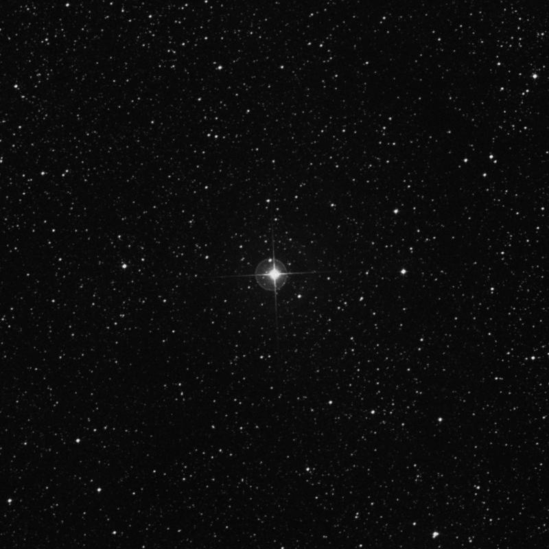 Image of γ2 Normae (gamma2 Normae) star