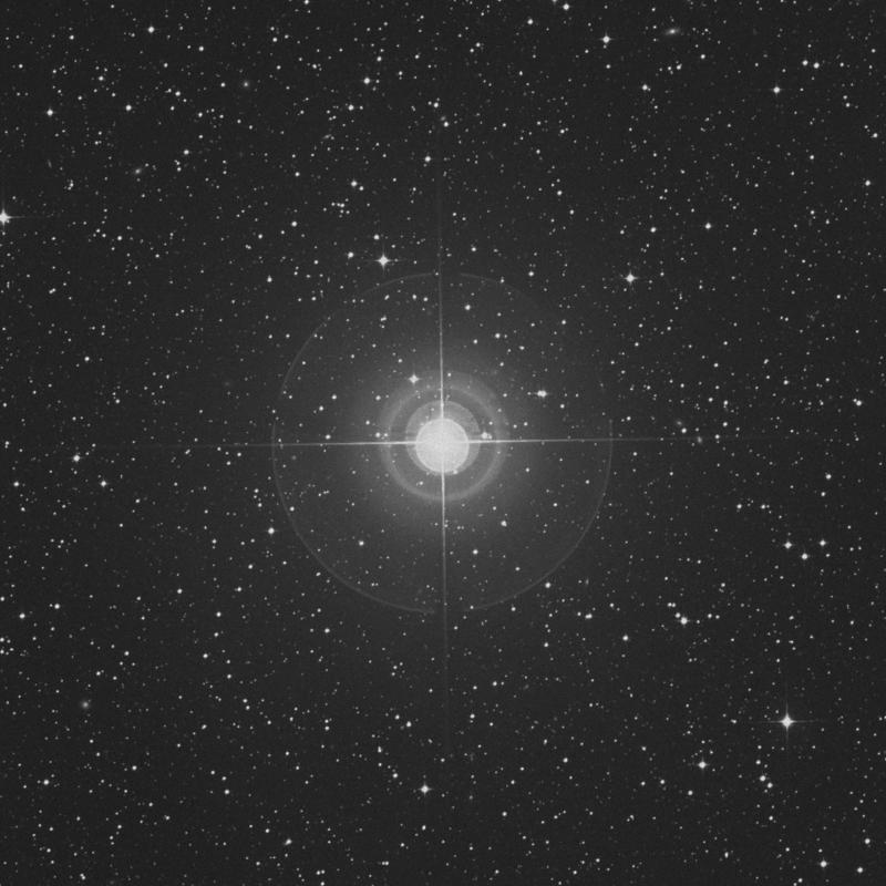 Image of γ Apodis (gamma Apodis) star