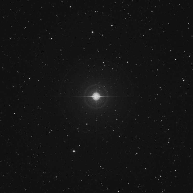 Image of Alrakis - μ Draconis (mu Draconis) star