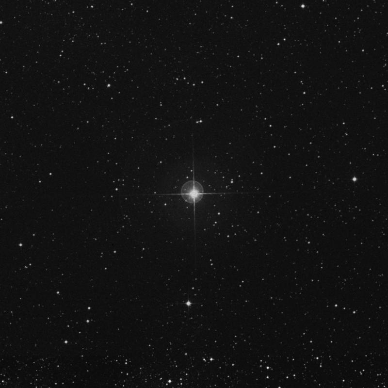Image of Lesath - υ Scorpii (upsilon Scorpii) star
