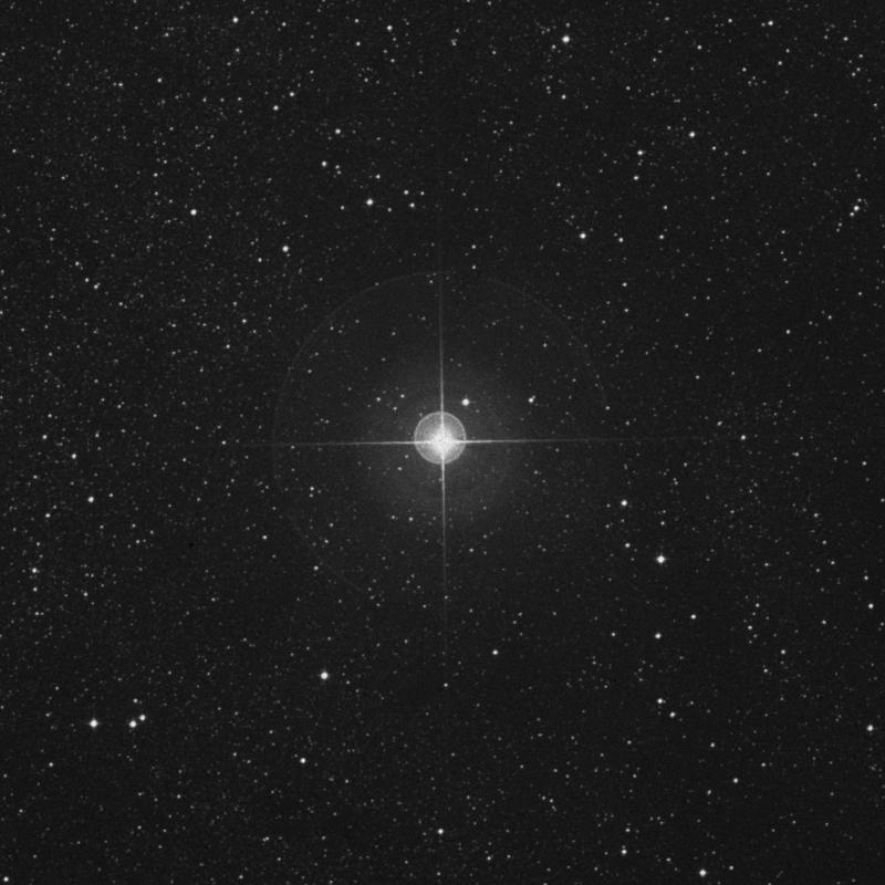 Image of Shaula - λ Scorpii (lambda Scorpii) star