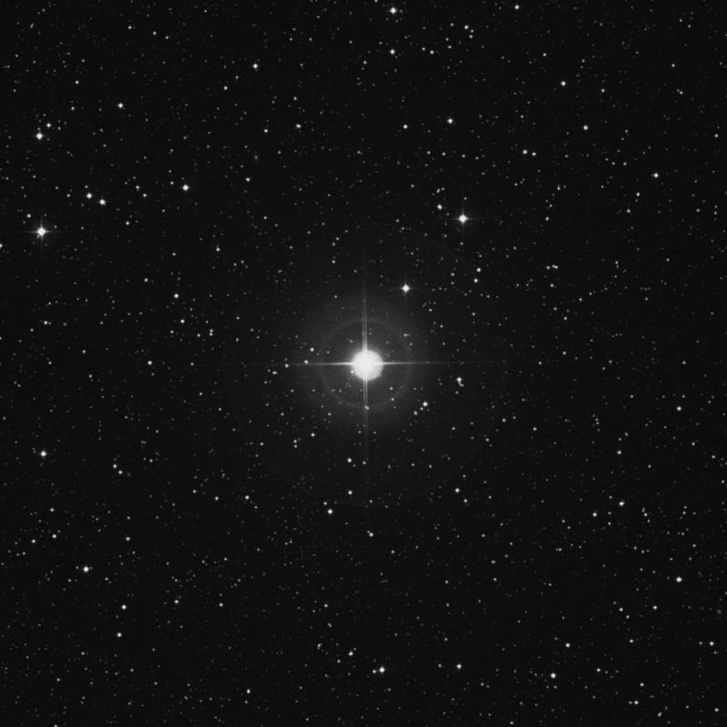 Image of 95 Herculis star