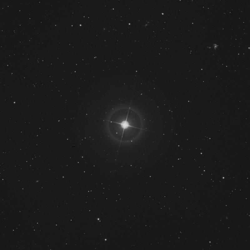Image of Yildun - δ Ursae Minoris (delta Ursae Minoris) star