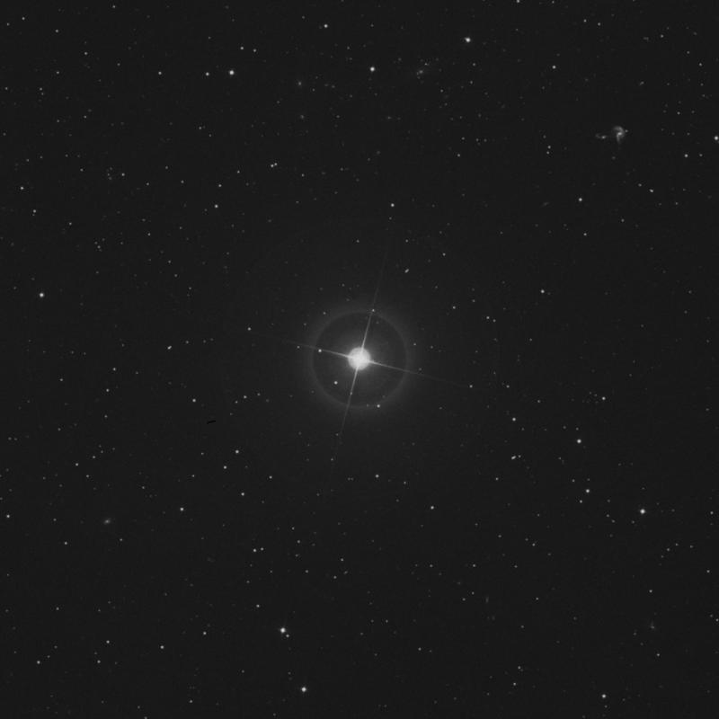 Image of Yildun - δ Ursae Minoris (delta Ursae Minoris) star