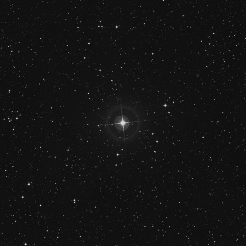 Image of φ Octantis (phi Octantis) star