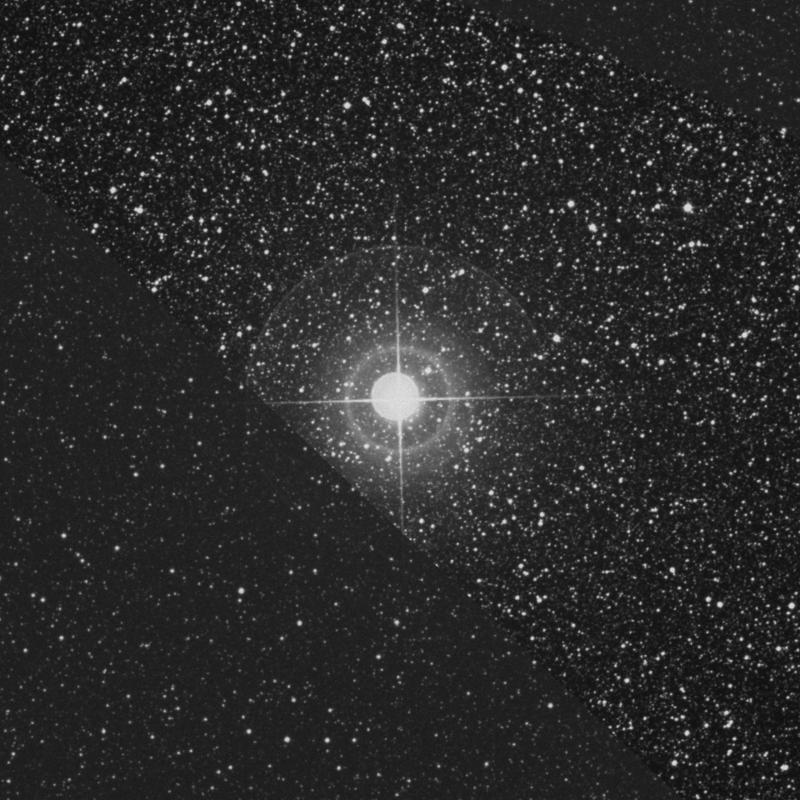 Image of η Sagittarii (eta Sagittarii) star