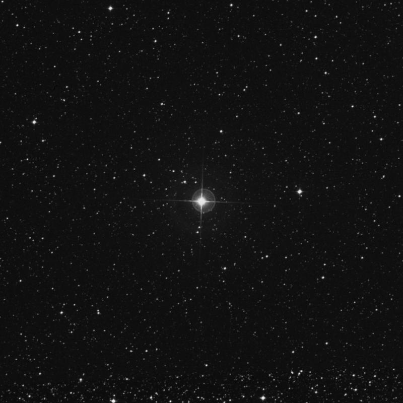 Image of α Telescopii (alpha Telescopii) star