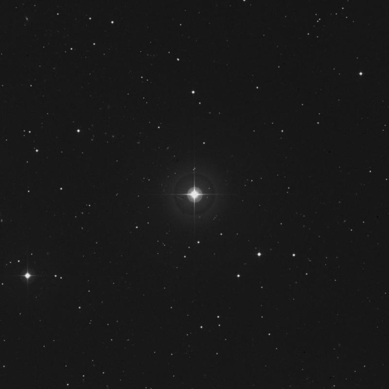 Image of ξ Arietis (xi Arietis) star