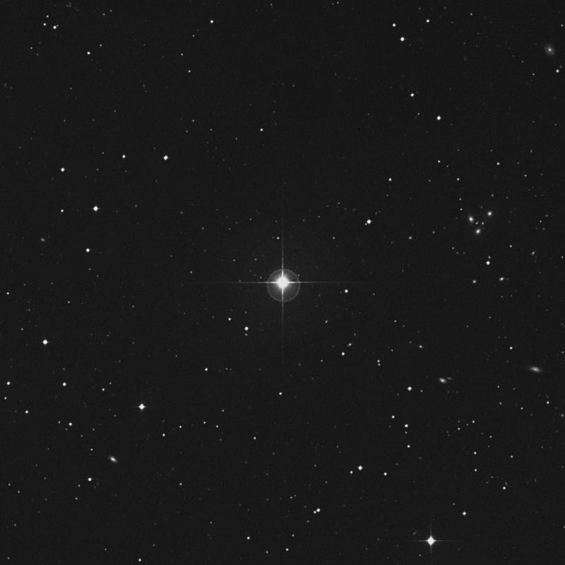 Image of 71 Ceti star