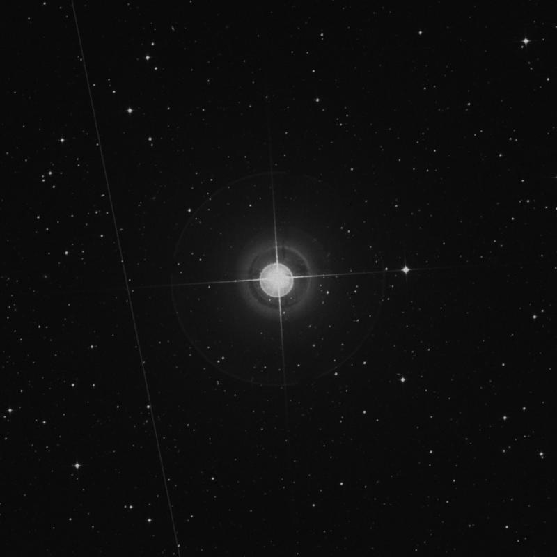 Image of δ Hydri (delta Hydri) star