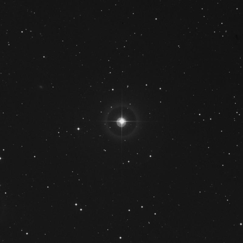 Image of 31 Arietis star