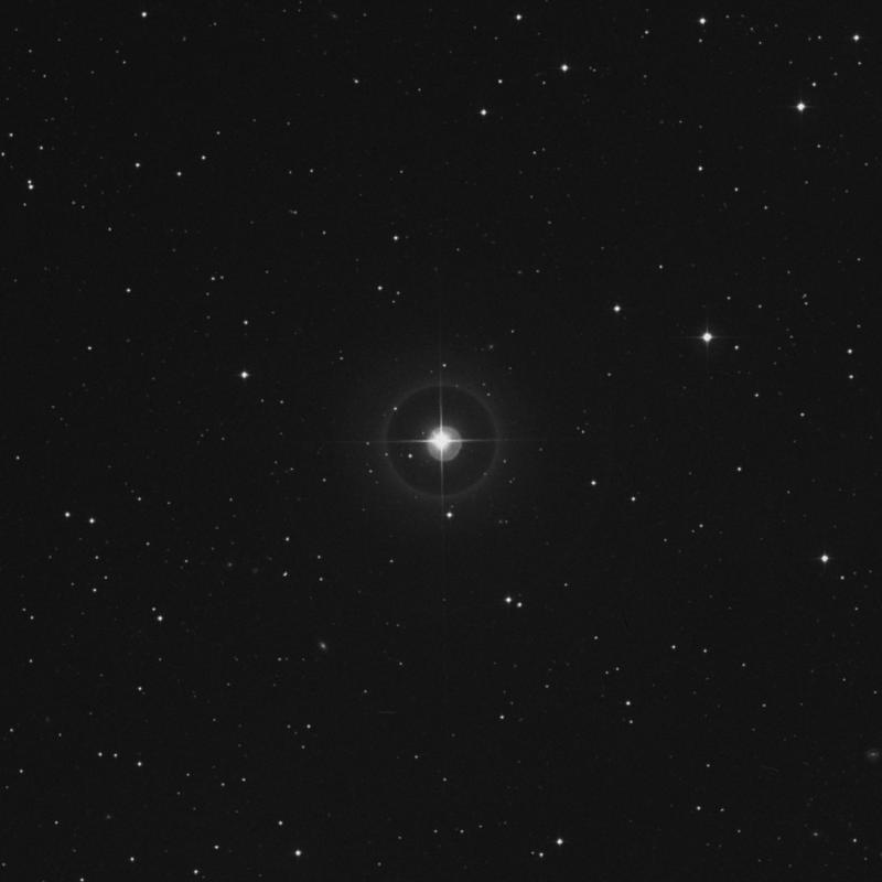 Image of ν Arietis (nu Arietis) star