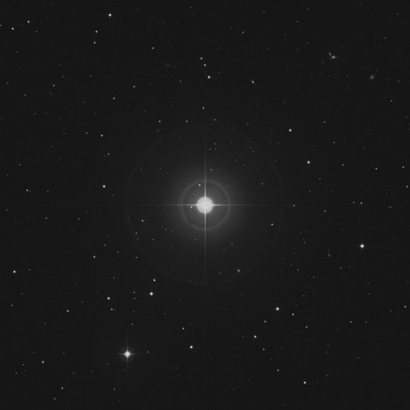 Image of δ Ceti (delta Ceti) star