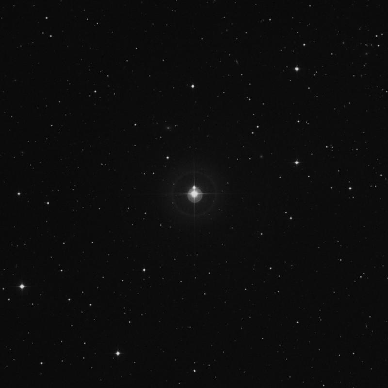 Image of 33 Arietis star