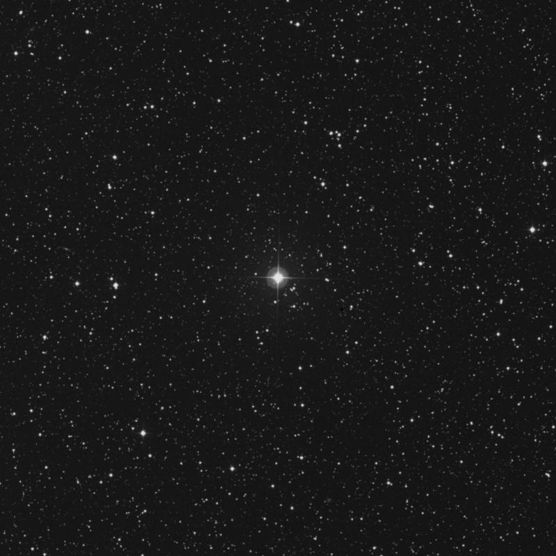 Image of 11 Persei star