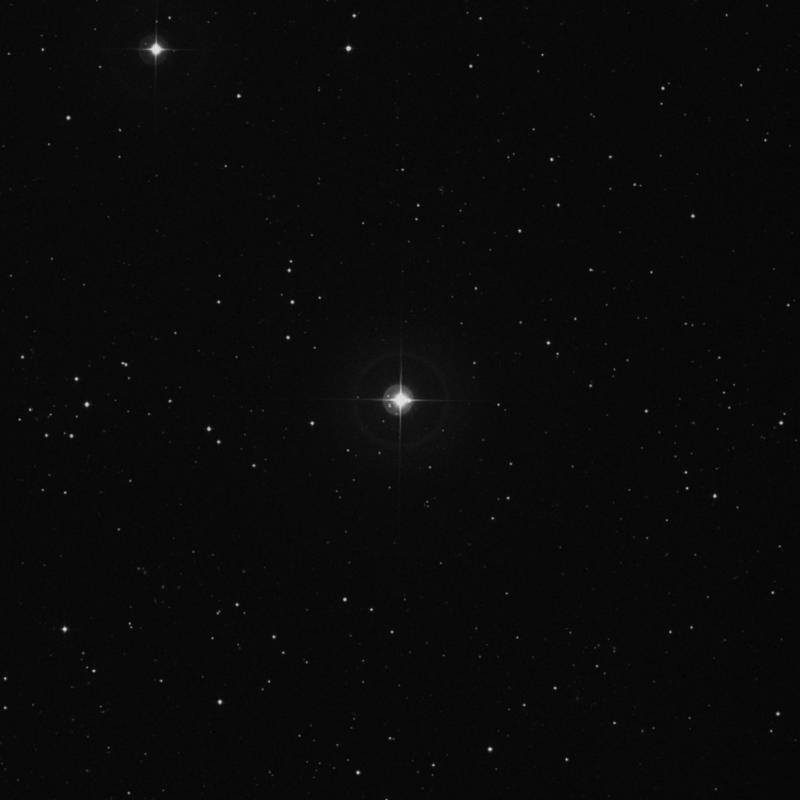Image of μ Arietis (mu Arietis) star