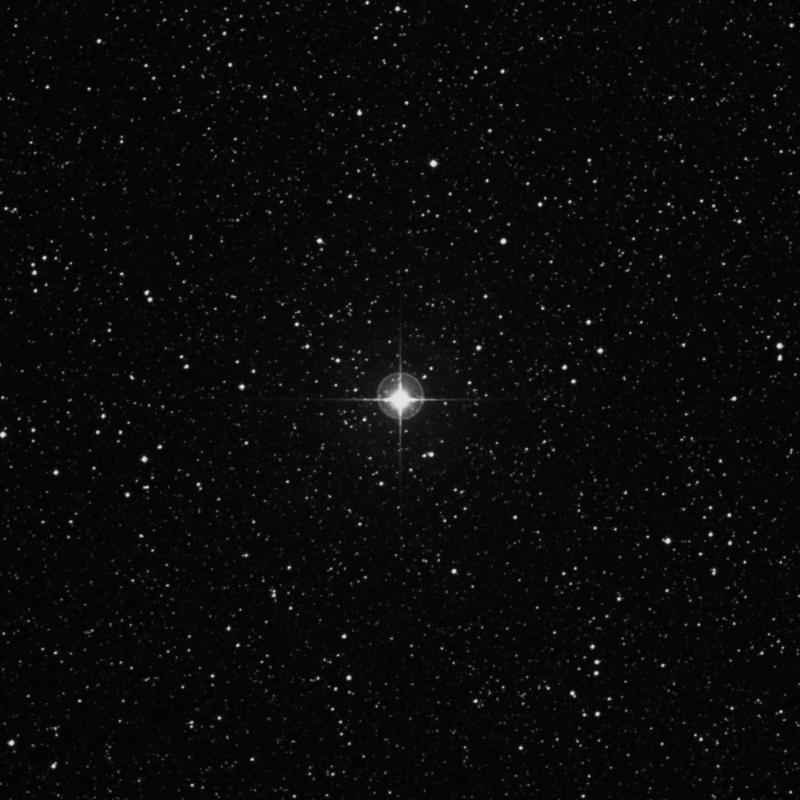 Image of φ Sagittarii (phi Sagittarii) star