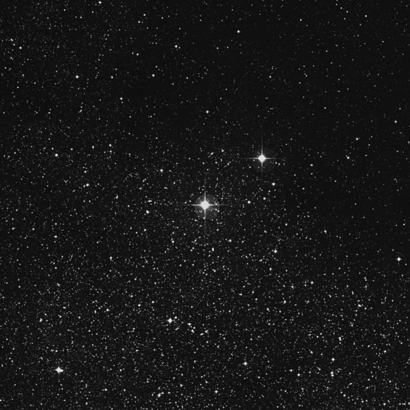 Image of 8 Aquilae star