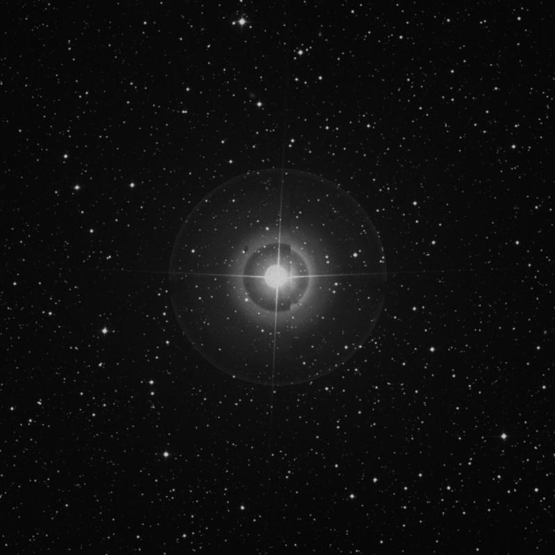 Image of 13 Lyrae star