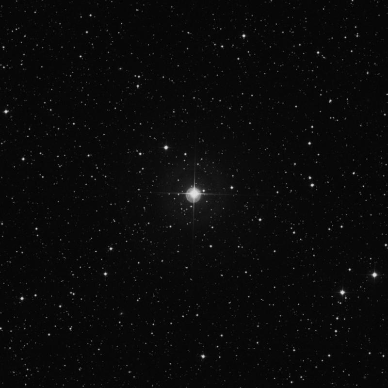 Image of 16 Lyrae star