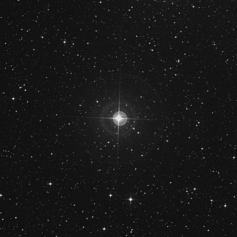 Image of Arkab Posterior - β2 Sagittarii (beta2 Sagittarii) star