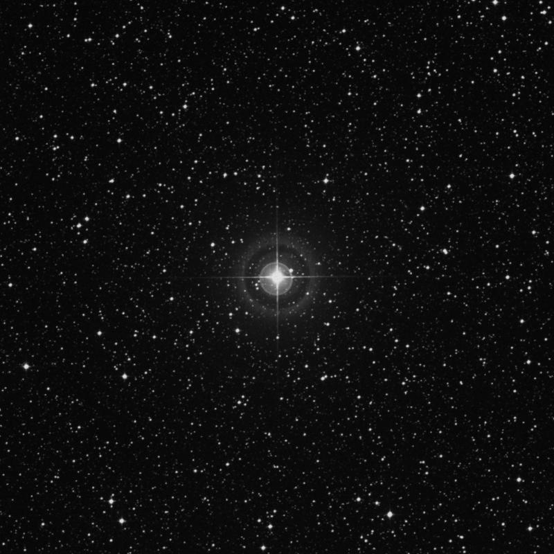 Image of χ3 Sagittarii (chi3 Sagittarii) star