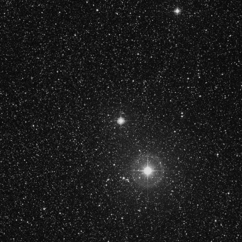 Image of 8 Vulpeculae star