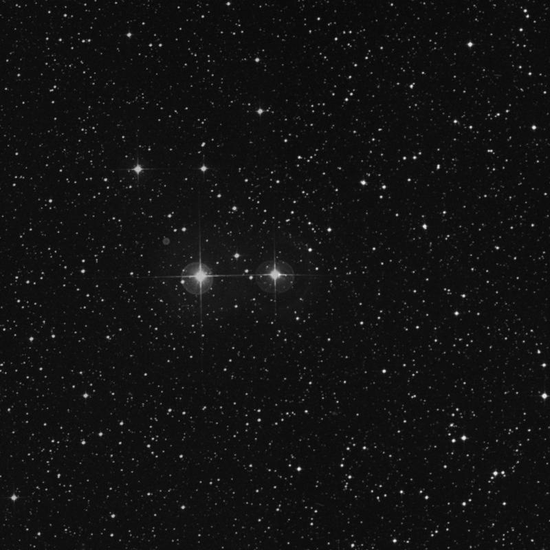 Image of 53 Sagittarii star